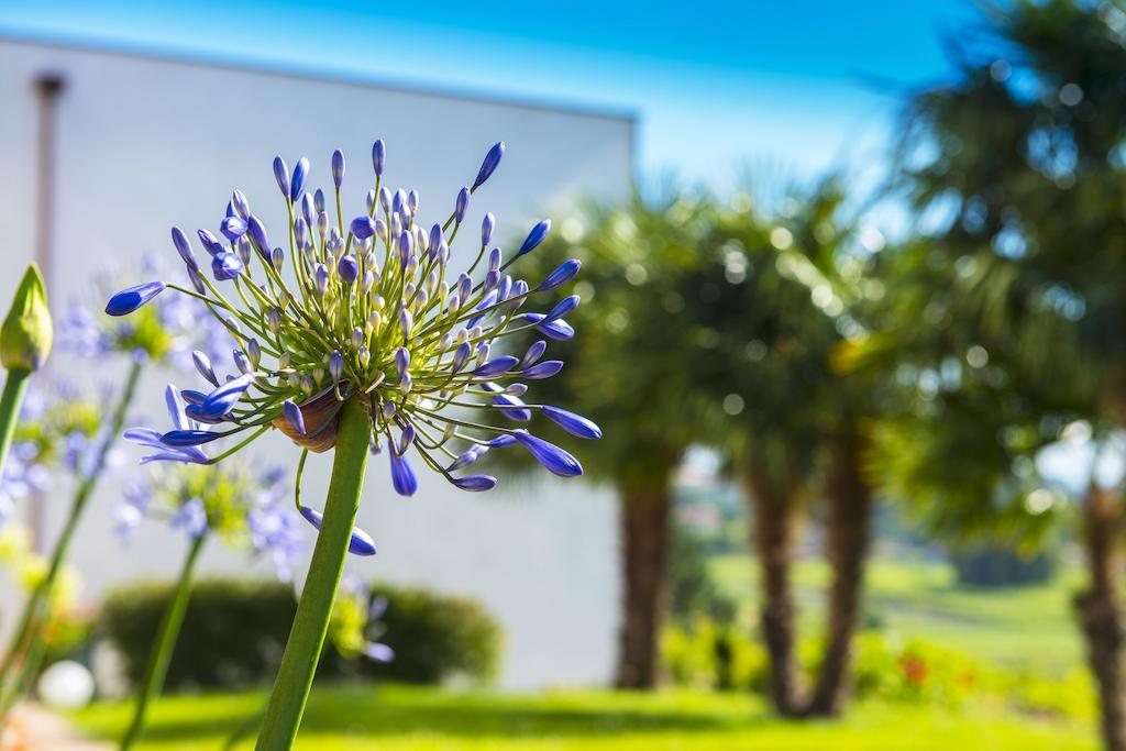 Готель Quinta De San Amaro Rias Baixas Meano Екстер'єр фото