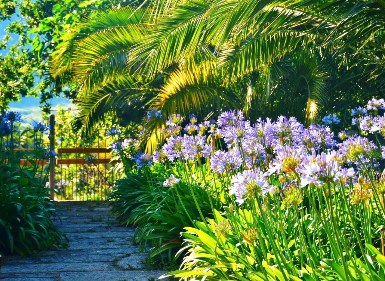 Готель Quinta De San Amaro Rias Baixas Meano Екстер'єр фото